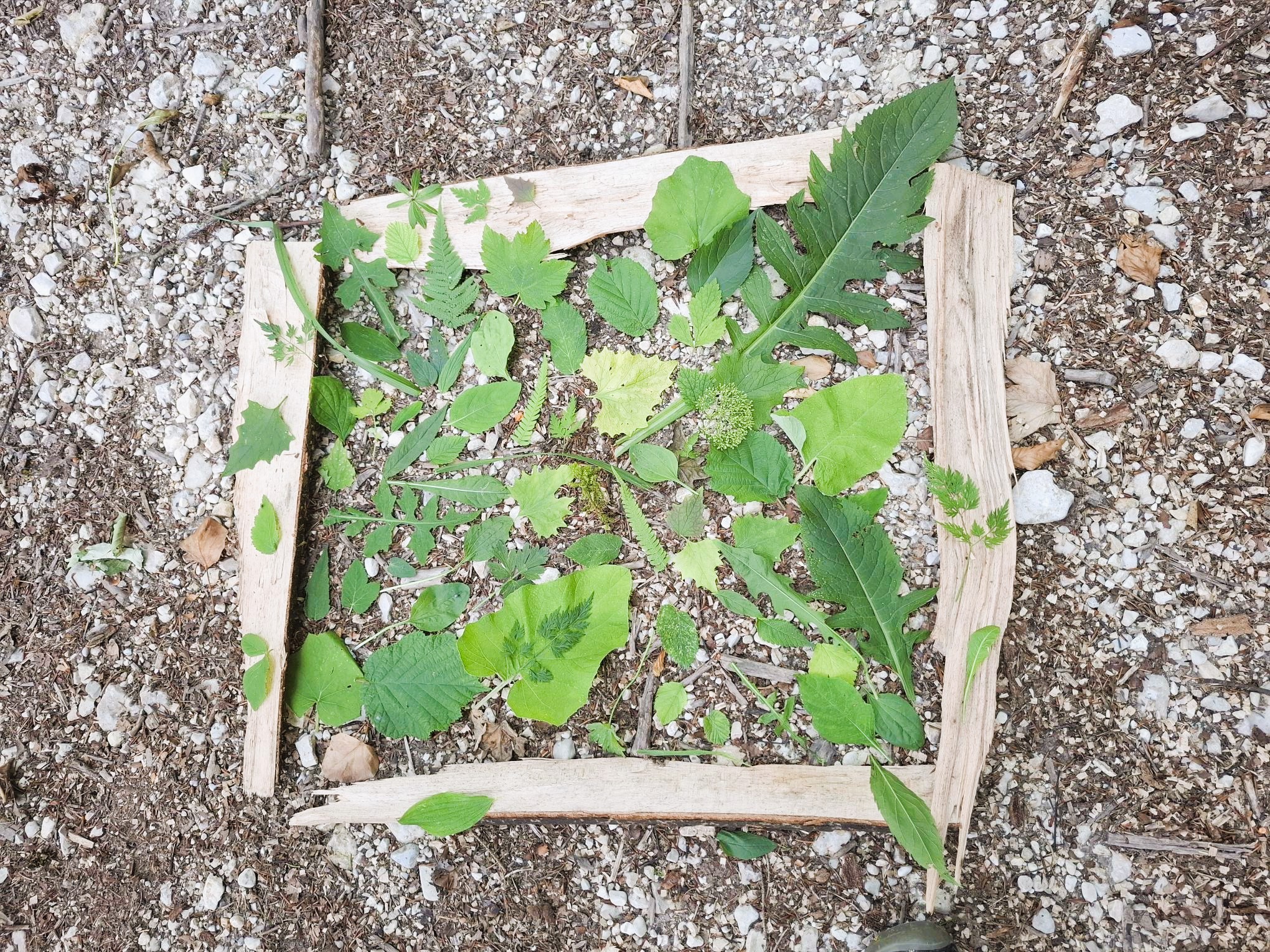 Blätter in allen Grüntönen und Formen in Holzrahmen