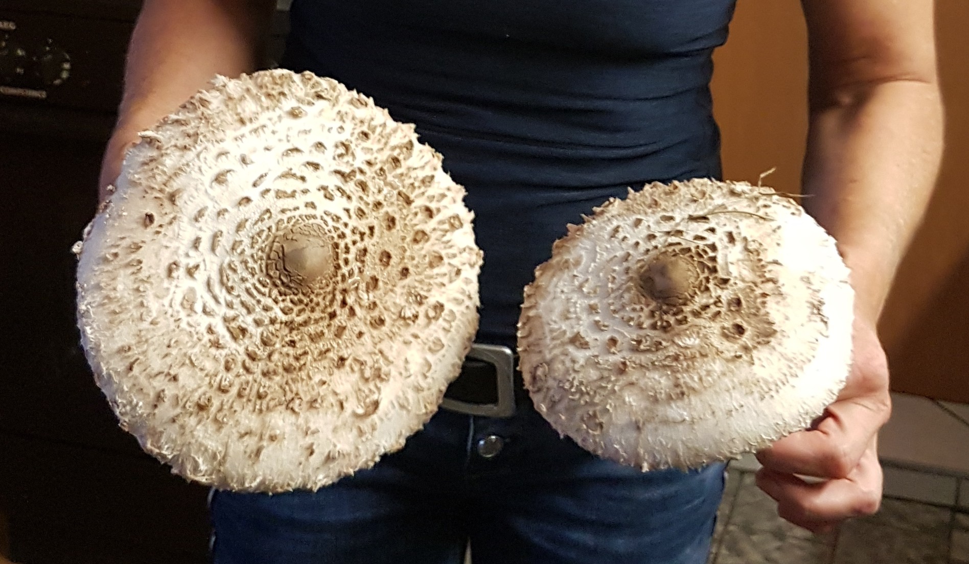 Frau hält zwei Pilze Parasol