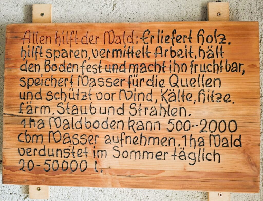 Holzschild mit Text "Allen hilft der Wald" von der Hohen Warte