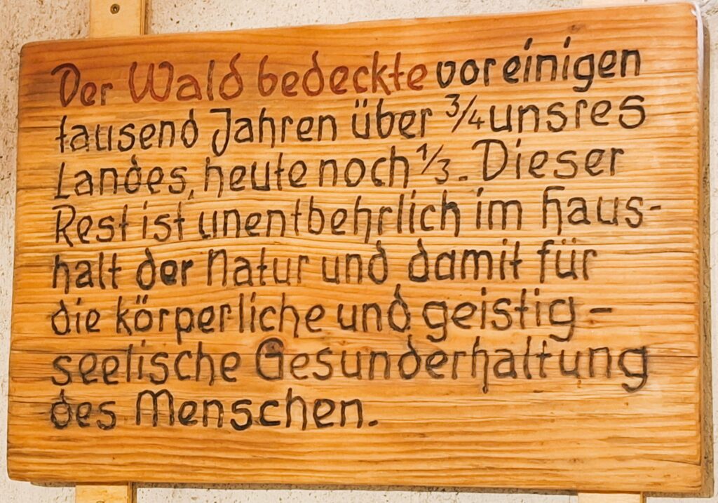 Der Wald bedeckte früher... Holztafel Hohe Warte