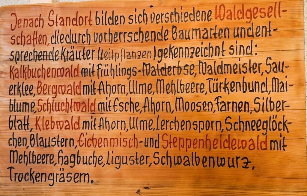Holzschild Hohe Warte: Je nach Standort bilden sich Waldgesellschaften aus vorherrschenden Baumarten