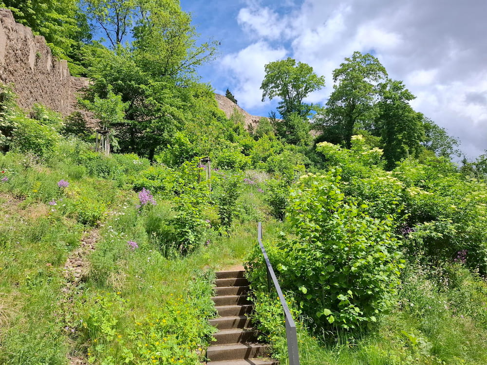 Park mit Klostermauer Siegburg