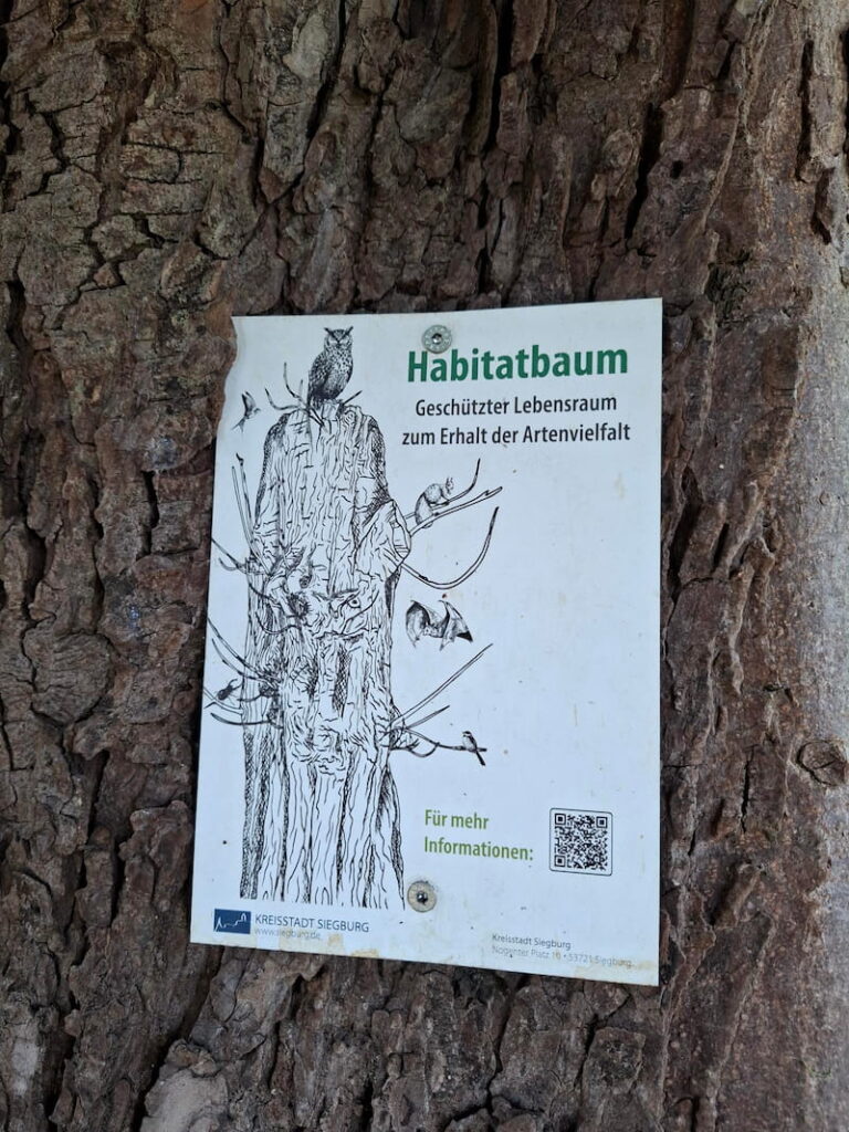 Schild am Habitatbaum