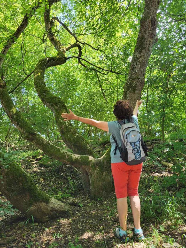 Waldbaden Übungen Waldgarderobe Loslassen