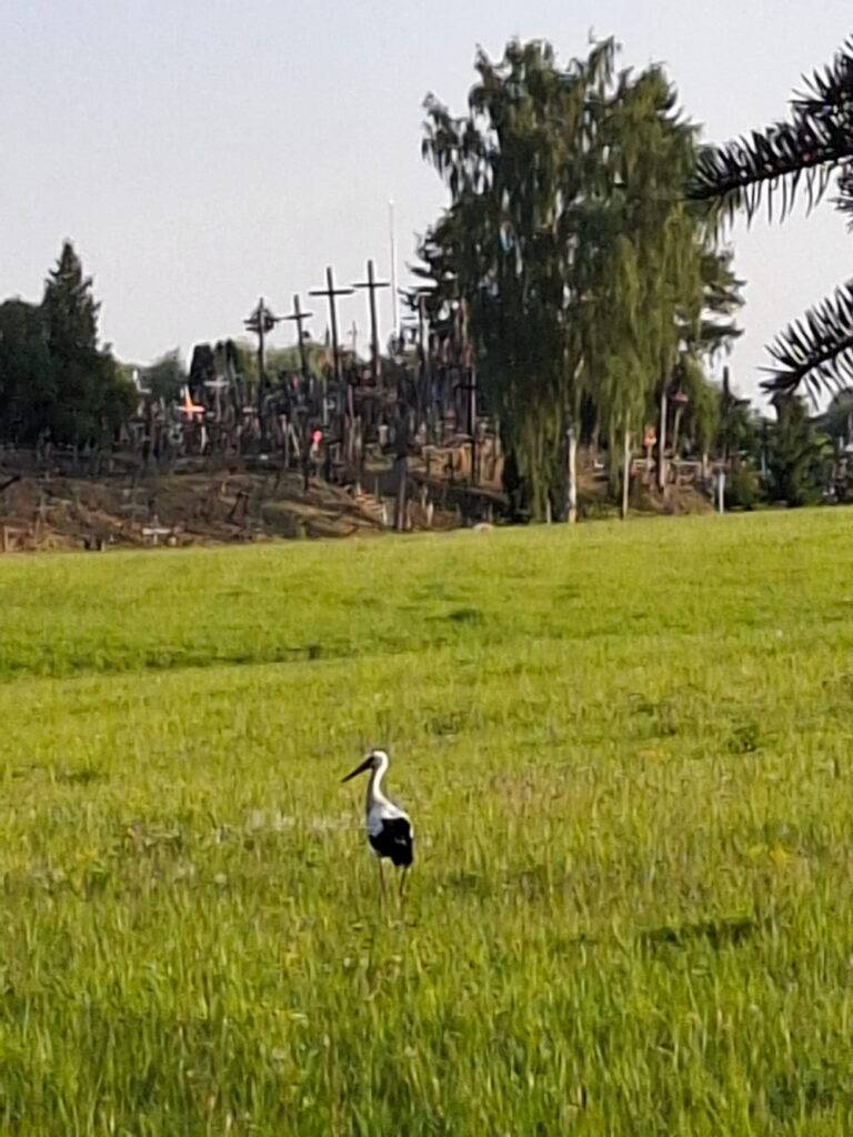 Berg der Kreuze mit Storch