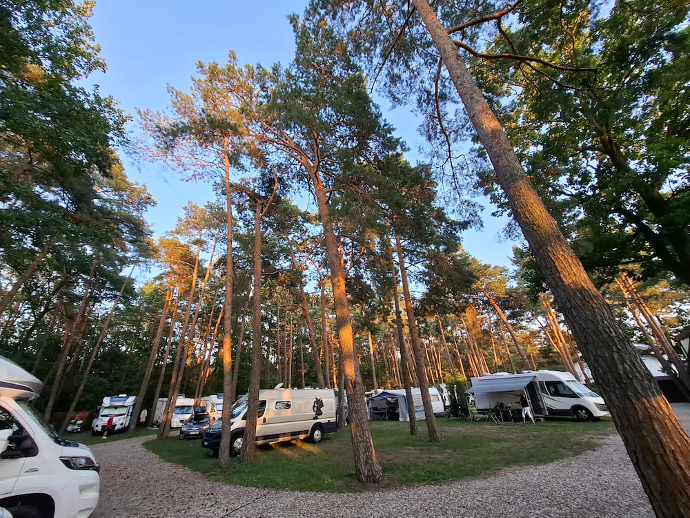 Camping WOK Warschau Kiefernwald