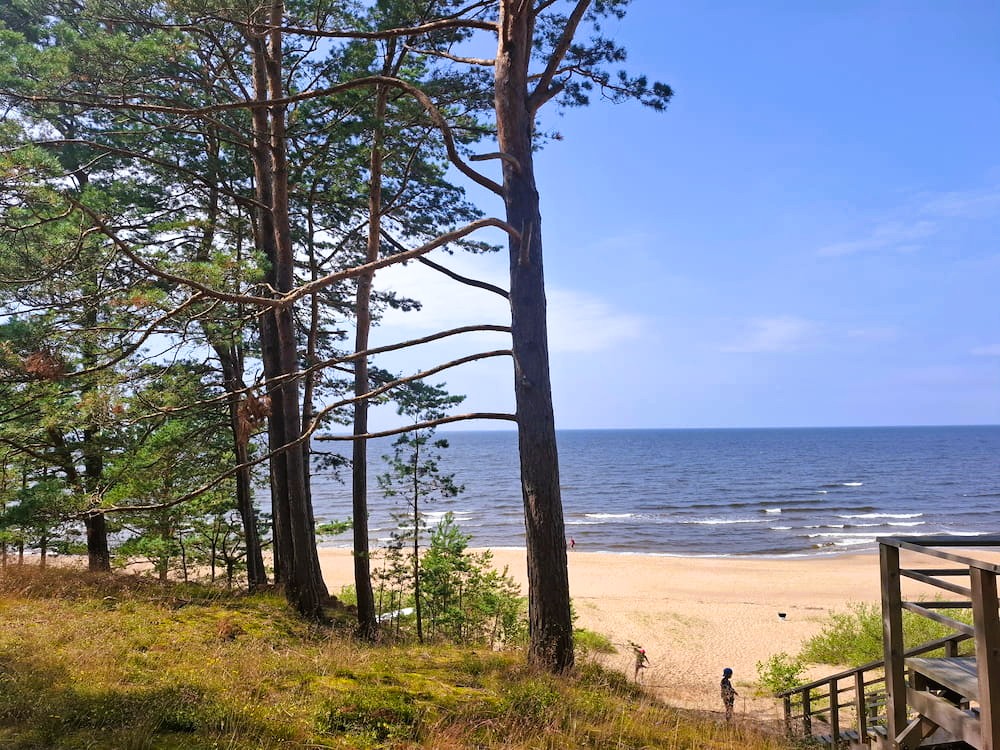 An der Ostsee bei Saulkrasti Wald vor Sandstrand