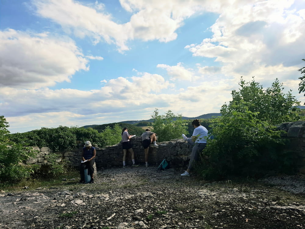 Menschen schreiben unter freiem Himmel beim Waldbaden