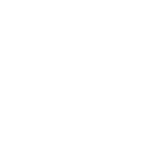 Wandel im Wald transparent weiß